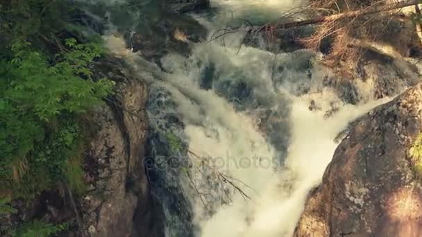 Corriendo agua espumosa de la cascada en el bosque — Vídeos de Stock