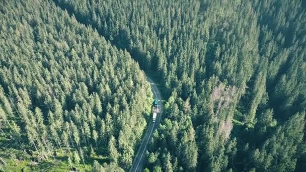 Antenn skott av en fir tree skog och europeiska landsbygden bilen vägen — Stockvideo