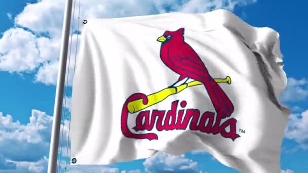 Размахиваю флагом с логотипом профессиональной команды Сент-Луис Кардиналс. Редакционный клип 4К — стоковое видео