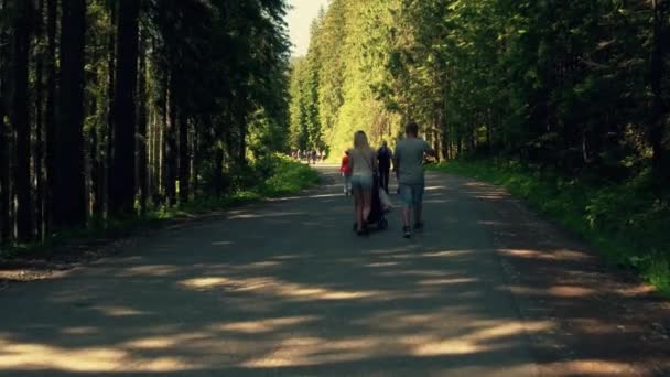Steadicam снимок семей, гуляющих в парке в летний день — стоковое видео