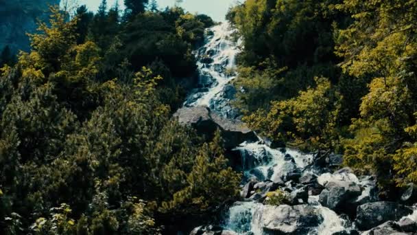 Пінна вода скелястого водоспаду в лісі — стокове відео