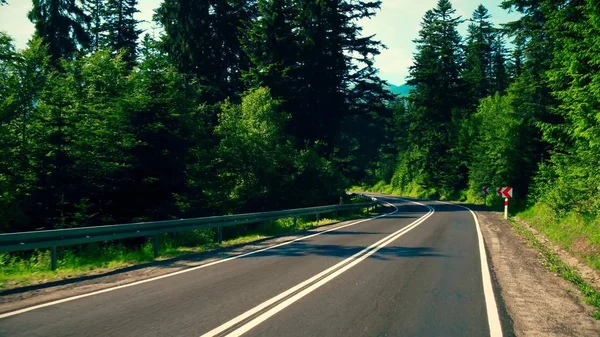 Carro estrada curva na floresta de mountainuos — Fotografia de Stock