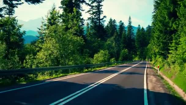 Estrada de carro através da floresta de mountainuos. tiro viagem estabilizado gimbal 4K — Vídeo de Stock