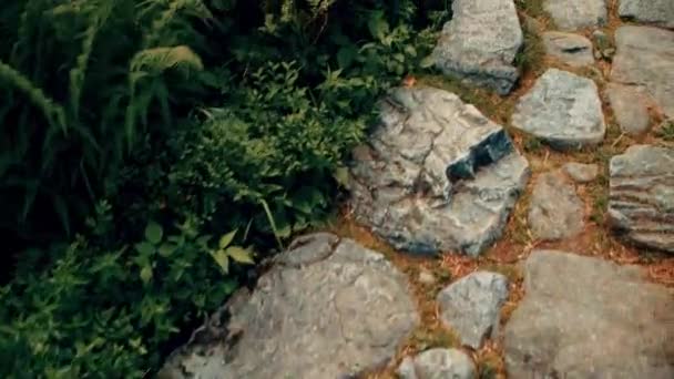 Top down view steadicam walk along mountainous forest rocky pathway — Stock Video