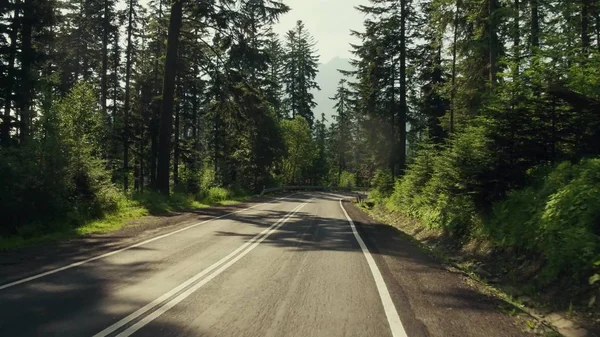 Carro estrada curva em mountainuos floresta e velocidade limite sinal — Fotografia de Stock