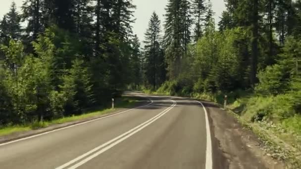 Coche curva carretera en el bosque de montaña y la señal de límite de velocidad. 4K gimbal estabilizado tiro de viaje — Vídeo de stock