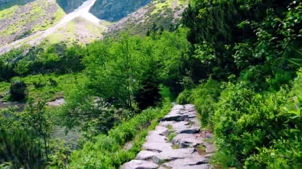 Steadicam passeio ao longo do caminho rochoso lago montanhoso — Vídeo de Stock