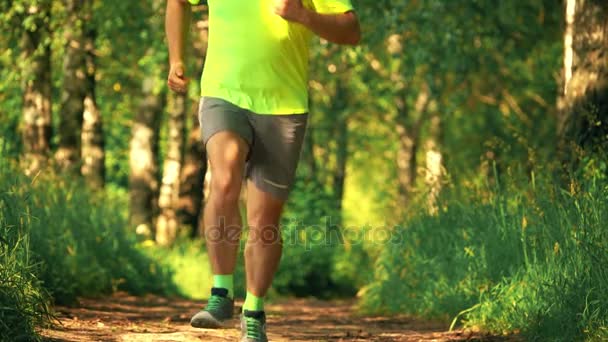 Slow motion shot rozmyte Runner lekkoatletycznego mężczyzna działa w parku w słoneczny letni dzień — Wideo stockowe