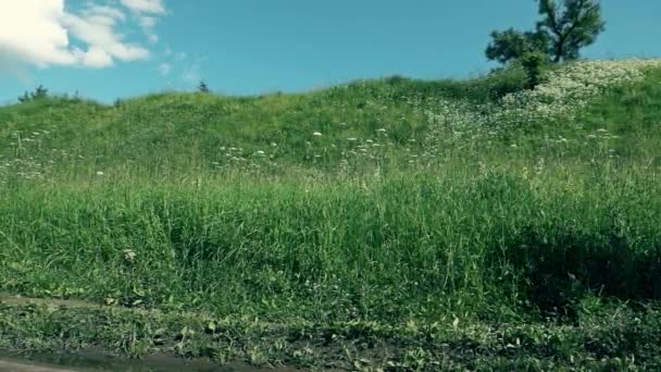 Slow-motion shot van een knappe atletische sportman uitgevoerd tegen groen gras heuvel — Stockvideo
