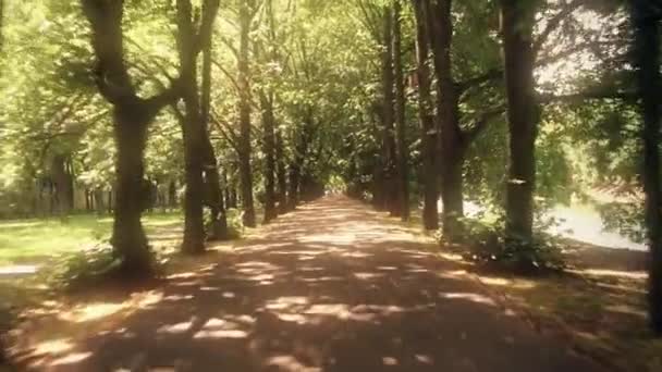 POV fietsers shot van een steegje park op een zonnige zomerdag — Stockvideo