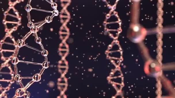 DNA molekülleri iplik ve parçacıklar yüzer. Kalıtım, biyokimya, modern tıp veya genetik araştırma kavramları — Stok video