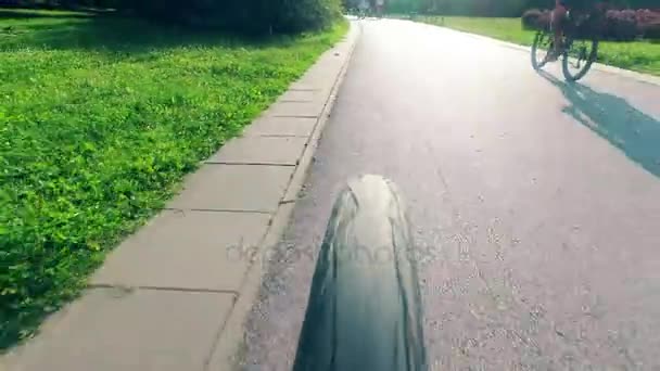 Rear view of a bicycle moving fast along city bike road — Stock Video