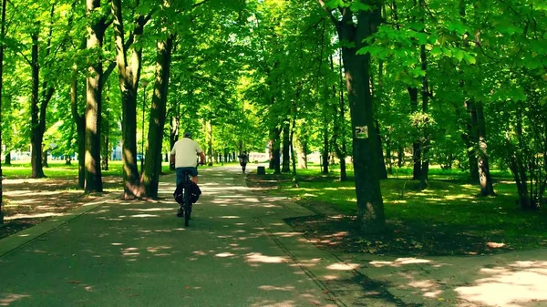 Homme inconnu vélo le long de la route cyclable du parc — Photo