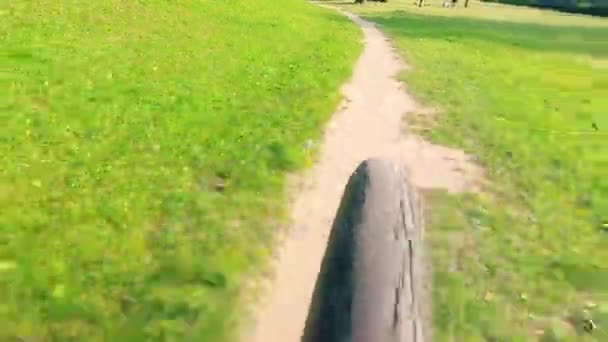 Vista posteriore di una bicicletta che si muove velocemente lungo il sentiero del parco — Video Stock