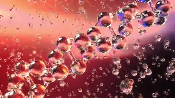 Spinndiagonales DNA-Molekül und mehrere Tröpfchen. Biochemie, Medizin oder genetische Forschung bezogene lückenhafte Animation — Stockvideo