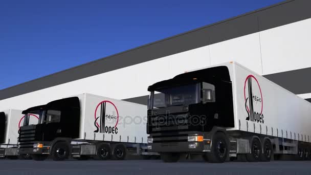 Áru félig teherautók Sinopec logó be- vagy kirakodási raktár dokk, varrat nélküli hurok. Szerkesztői 4k animáció — Stock videók