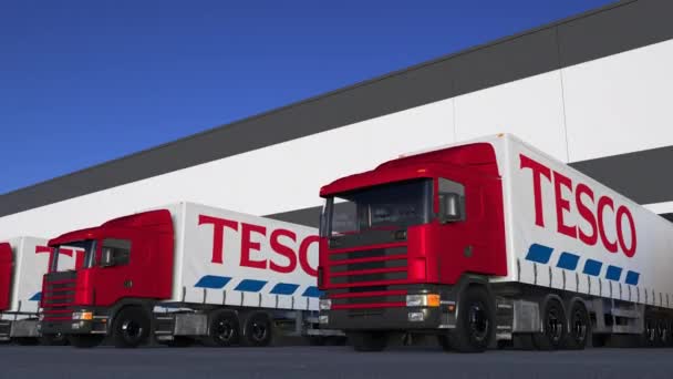 Camiones semirremolques de carga con logotipo de Tesco cargando o descargando en el muelle del almacén, bucle sin fisuras. Animación Editorial 4K — Vídeos de Stock