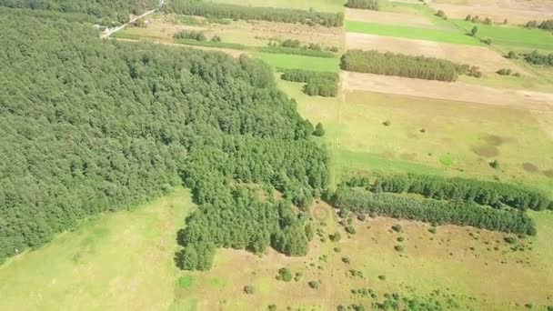 Widok z lotu ptaka z typowych krajobrazów Europy Wschodniej w słoneczny letni dzień — Wideo stockowe