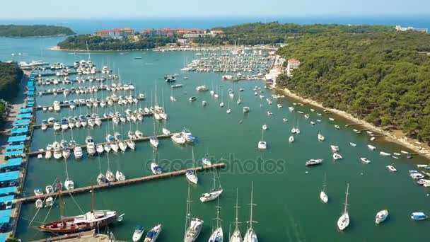 Aerial shot of multiple parked boats, motorboats and sailboats at the Adriatic sea marina — Stock Video