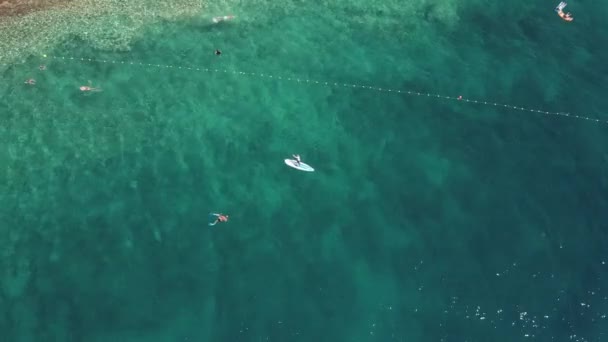 아드리아 해의 바위 해변의 보기 아래로 항공 사진 여름 휴가 기간 — 비디오