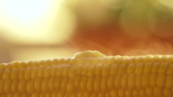 Butter schmilzt auf heißem, frisch gekochtem Mais — Stockvideo