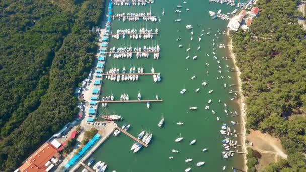Aerial shot of anchored boats, motorboats and sailboats at marina piers in Pula, Croatia — Stock Video