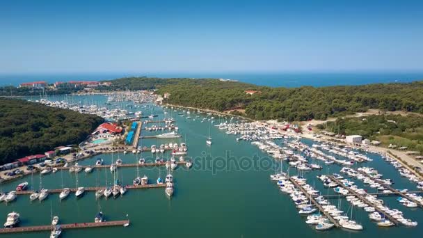 Aerial descending shot of the Adriatic sea marina and yachts — Stock Video