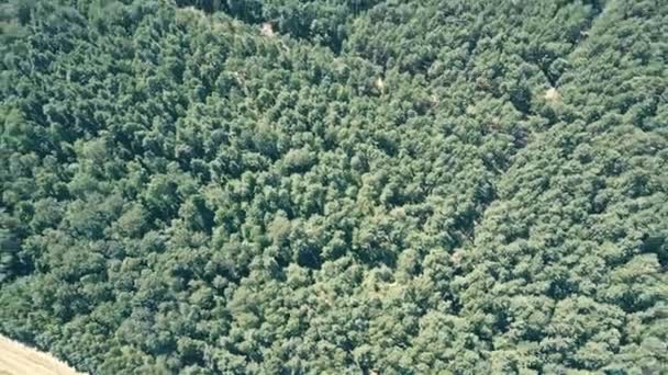 Luchtfoto van Europese bossen en verre operationele windmolens. Alternatieve ecologische energieproductie — Stockvideo