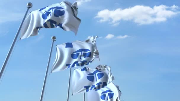 Ondeando banderas con el logotipo de Tata contra el cielo, lazo sin costuras. Animación editorial 4K — Vídeos de Stock
