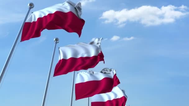 Row of waving flags of Poland agaist blue sky, seamless loop — Stock Video