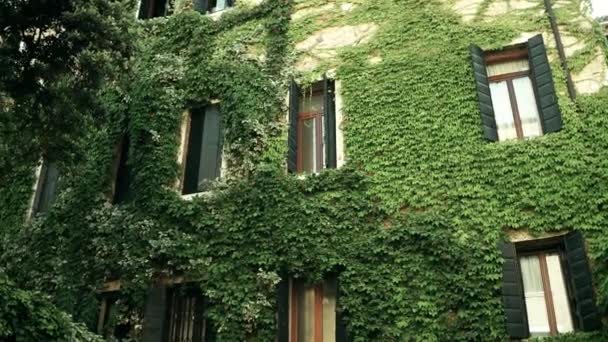 Aşırı büyümüş eski binalar Venedik, İtalya — Stok video