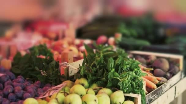 Os produtos hortícolas ficam parados no mercado local dos agricultores — Vídeo de Stock