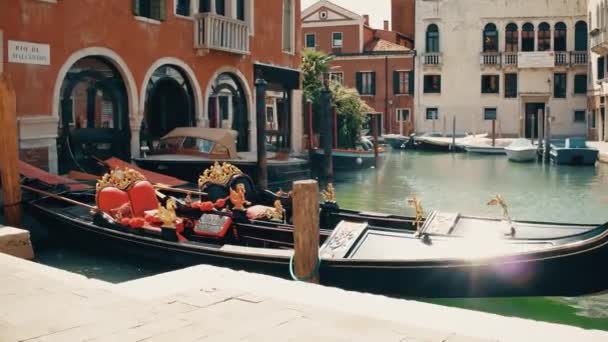 VENICE, ITALY - AUGUST 8, 2017. Moored Venetian gondolas and gondoliers taking a break — Stock Video