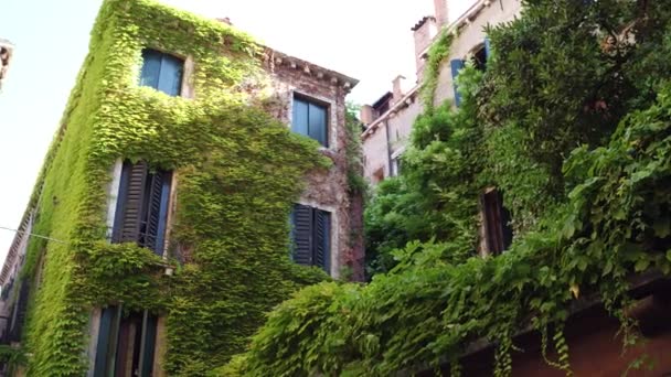 杂草丛生的旧楼，在威尼斯，意大利 — 图库视频影像