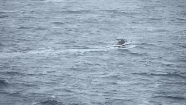 Motorboot verplaatsen in de stormachtige zee — Stockvideo