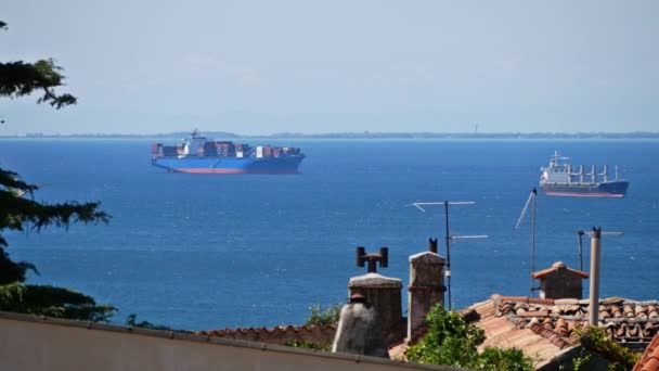 Distant container cargo ships in the sea harbour — Stock Video