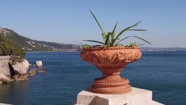 Trieste, İtalya - 11 Ağustos 2017. Miramare kale detaylar - balkonda çiçek yatak — Stok video