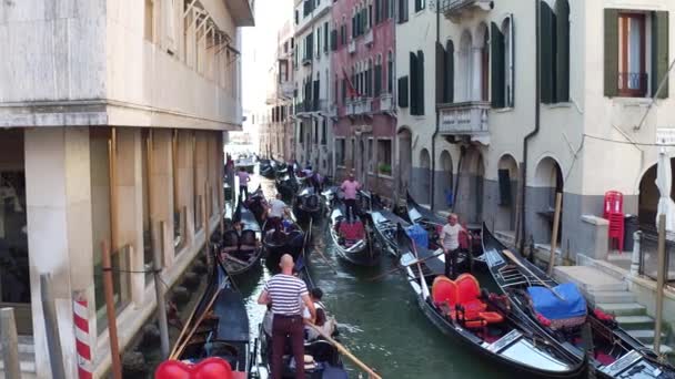 VENICE, ITALY - Agustus 8, 2017. Kemacetan lalu lintas Gondolas — Stok Video