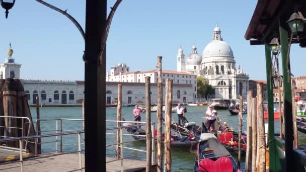 Venedig, italien - 8. august 2017. fahrende gondeln in der nähe von san marco platz gegen santa maria della salute römisch-katholische kirche — Stockvideo