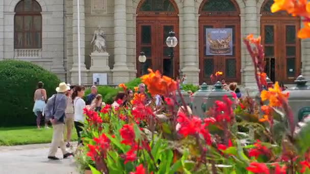 Vienna, Avusturya - 12 Ağustos 2017. Kunsthistorisches Müzesi veya sanat Tarih Müzesi girişinde — Stok video