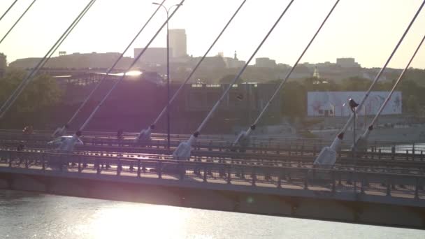 GARANTIA, POLÓNIA - 30 DE AGOSTO DE 2017. Tiro aéreo de uma cidade guyed ponte sobre o rio de Vistula — Vídeo de Stock