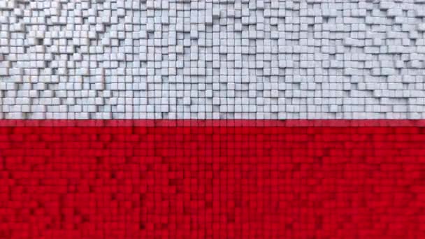 Gestileerde mozaïek vlag van Polen gemaakt van bewegende pixels, naadloze loops beweging achtergrond — Stockvideo