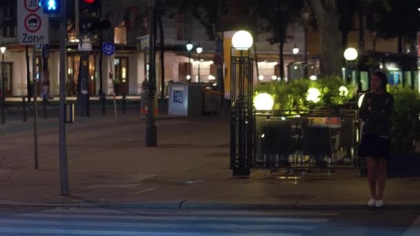 비엔나, 오스트리아-8 월 11 일, 2017. 저녁에 도시 횡단 보도에 걷는 젊은 여성 — 비디오