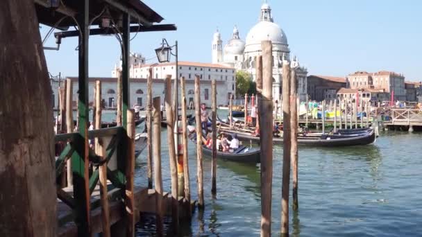 Venedig, italien - 8. august 2017. gondeln mit touristen in der nähe von san marco platz gegen santa maria della salute römisch-katholische kirche — Stockvideo