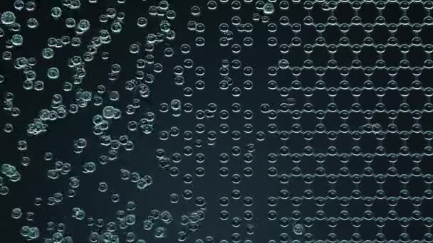 Componeren zeshoekige moleculaire structuur met glas deeltje modellen, naadloze loops — Stockvideo