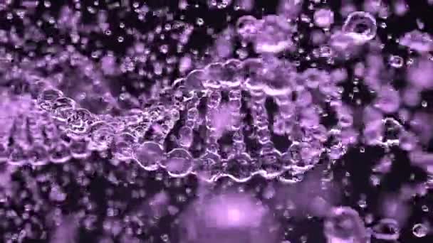 Dna 분자, 원활한 루프의 파괴 — 비디오