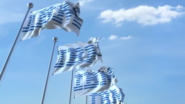 Vajande flaggor med Ibm logo mot himlen, sömlös loop. 4 k redaktionella animation — Stockvideo