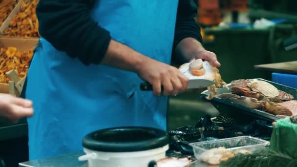 Coquilles de pétoncles de vendeurs masculins au stand de fruits de mer local sur le marché — Video