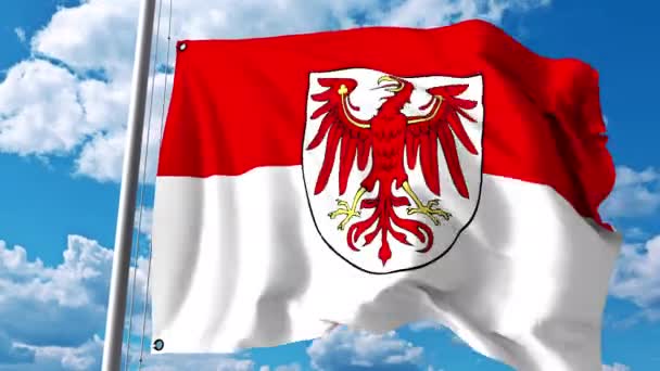 Waving flag of Brandenburg, a state of Germany — Stock Video