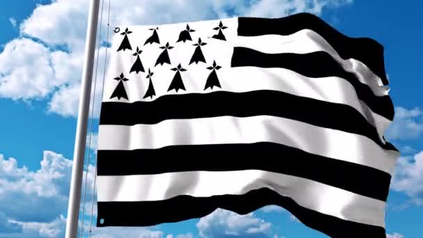 Flagge der Bretagne schwenkend, einer Region Frankreichs — Stockvideo